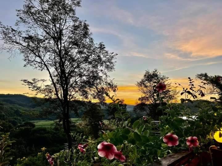 Doi Sang Farm Stay - ดอยซางฟาร์มสเตย์ Wiang Sa ภายนอก รูปภาพ